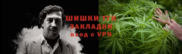 PSILOCYBIN Балахна