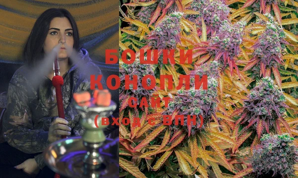 PSILOCYBIN Балахна