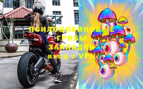PSILOCYBIN Балахна