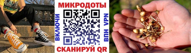 Галлюциногенные грибы MAGIC MUSHROOMS что такое наркотик KRAKEN вход Бирюсинск